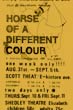 Horse of a different colour
